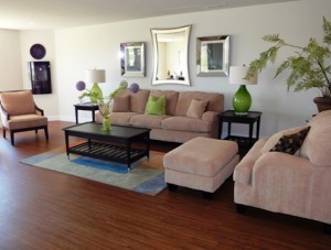 Buying a Champaign-Urbana IL Home